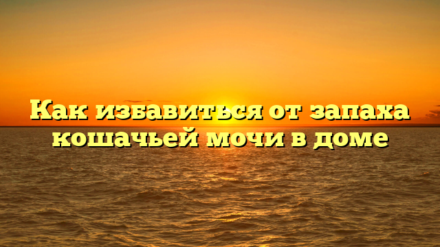 Как избавиться от запаха кошачьей мочи в доме